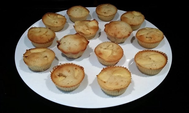 11949829_10203607727392028_536726220_n