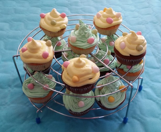 20150406_142851 - Copie